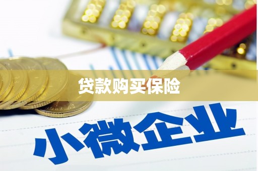 文山贷款购买保险
