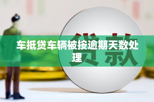 文山车抵贷车辆被按逾期天数处理