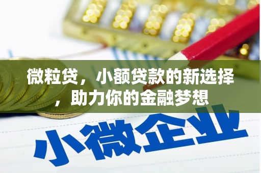 玉里微粒贷，小额贷款的新选择，助力你的金融梦想