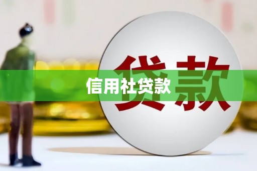 筠连信用社贷款