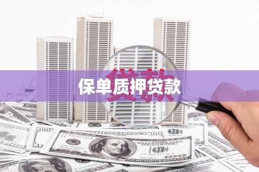 株洲保单质押贷款