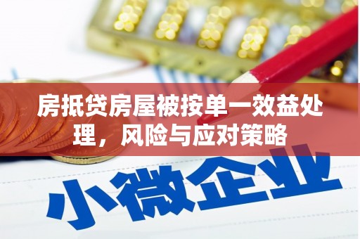 徐水房抵贷房屋被按单一效益处理，风险与应对策略