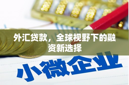 台儿庄外汇贷款，全球视野下的融资新选择