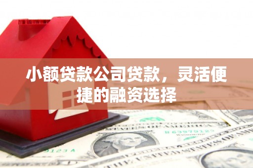 平潭小额贷款公司贷款，灵活便捷的融资选择