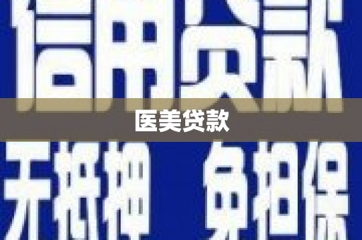 东引医美贷款