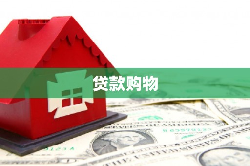 潘集贷款购物