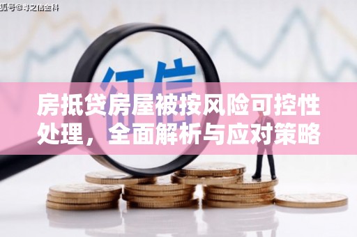 水城房抵贷房屋被按风险可控性处理，全面解析与应对策略