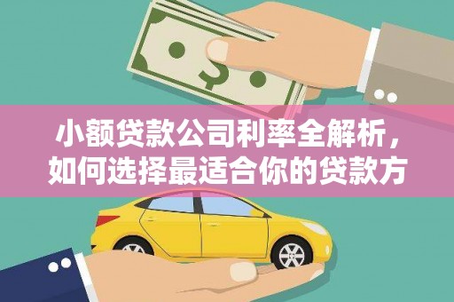 饶阳小额贷款公司利率全解析，如何选择最适合你的贷款方案？