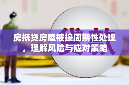五峰房抵贷房屋被按周期性处理，理解风险与应对策略