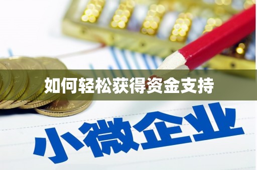 龙泉如何轻松获得资金支持