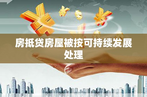 双湖房抵贷房屋被按可持续发展处理
