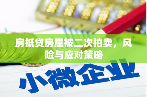 射阳房抵贷房屋被二次拍卖，风险与应对策略