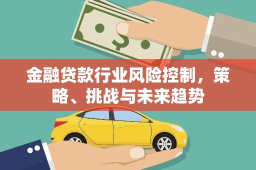 西夏金融贷款行业风险控制，策略、挑战与未来趋势