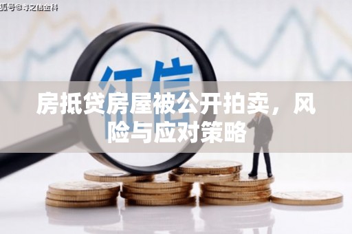 西工房抵贷房屋被公开拍卖，风险与应对策略