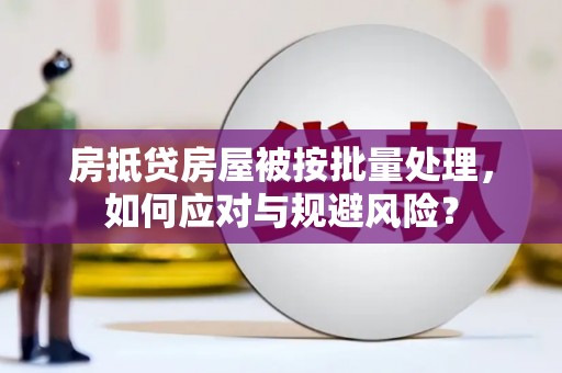 昭平房抵贷房屋被按批量处理，如何应对与规避风险？
