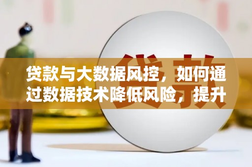 青神贷款与大数据风控，如何通过数据技术降低风险，提升贷款效率