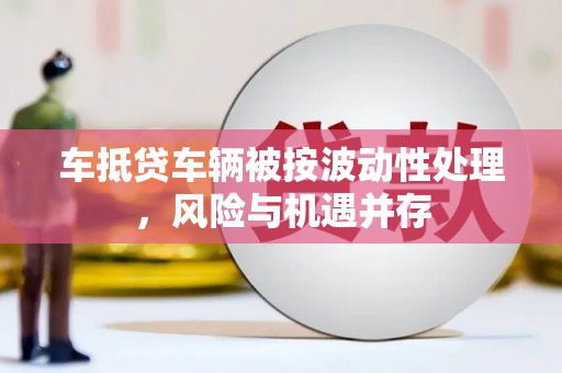 青神车抵贷车辆被按波动性处理，风险与机遇并存
