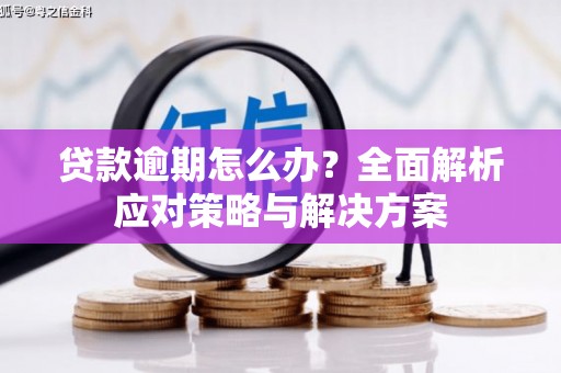 路环岛贷款逾期怎么办？全面解析应对策略与解决方案