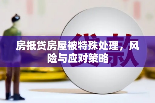 路环岛房抵贷房屋被特殊处理，风险与应对策略