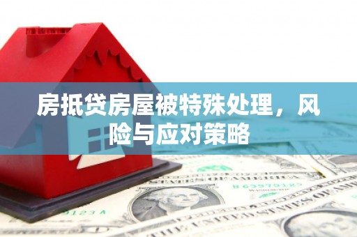 乐平房抵贷房屋被特殊处理，风险与应对策略