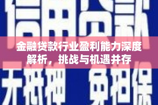 西林金融贷款行业盈利能力深度解析，挑战与机遇并存