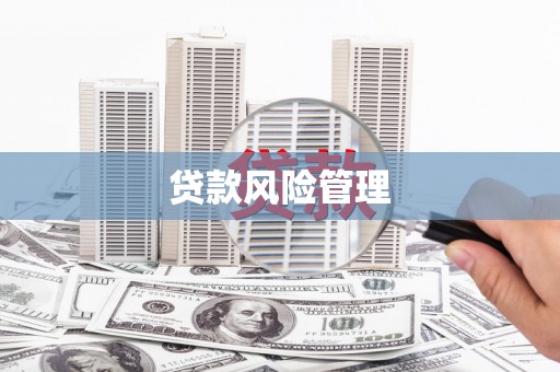娄底贷款风险管理