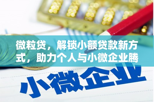 西林微粒贷，解锁小额贷款新方式，助力个人与小微企业腾飞