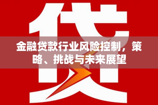 阳原金融贷款行业风险控制，策略、挑战与未来展望
