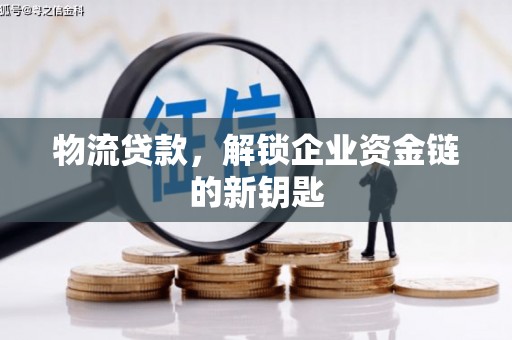 墨脱物流贷款，解锁企业资金链的新钥匙
