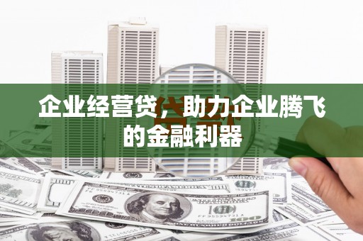 黄大仙企业经营贷，助力企业腾飞的金融利器
