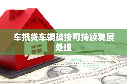 巫溪车抵贷车辆被按可持续发展处理