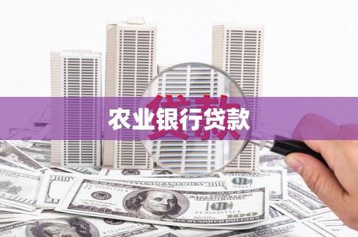 盈江农业银行贷款