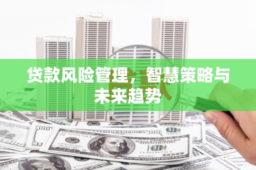 沣东贷款风险管理，智慧策略与未来趋势