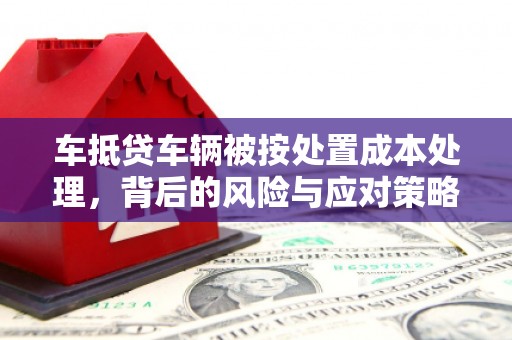 栾城车抵贷车辆被按处置成本处理，背后的风险与应对策略