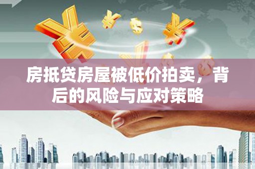 盐边房抵贷房屋被低价拍卖，背后的风险与应对策略