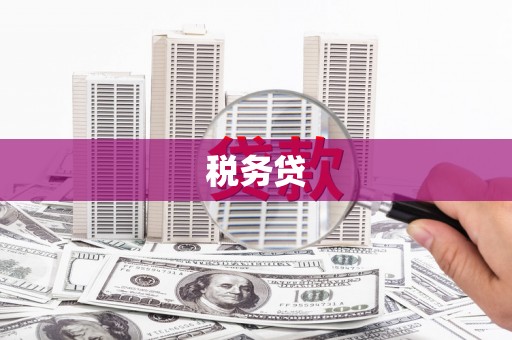 水林税务贷