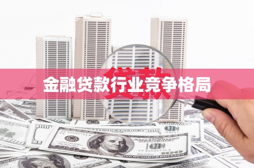 大通金融贷款行业竞争格局