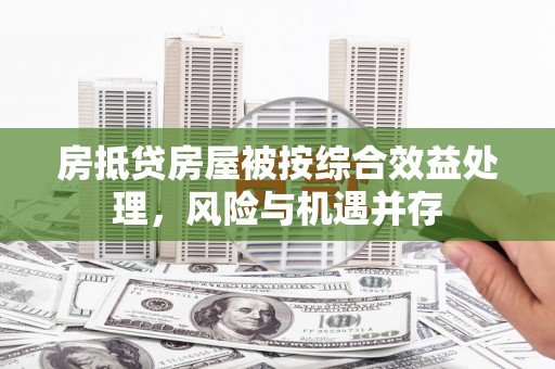 蒙城房抵贷房屋被按综合效益处理，风险与机遇并存