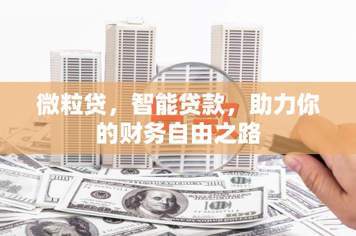 普洱微粒贷，智能贷款，助力你的财务自由之路