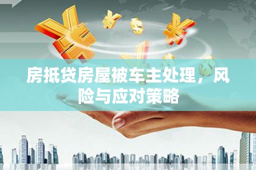 祥云房抵贷房屋被车主处理，风险与应对策略