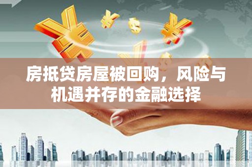 元氏房抵贷房屋被回购，风险与机遇并存的金融选择