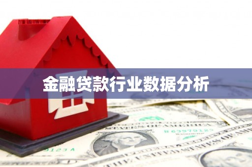 武平金融贷款行业数据分析