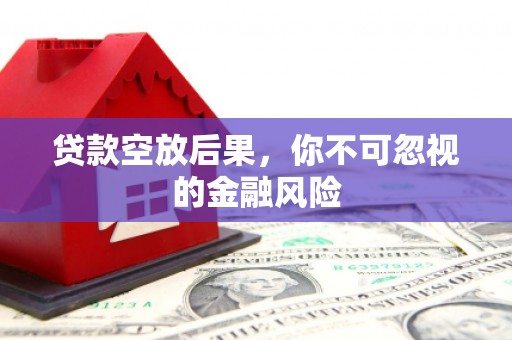 朴子贷款空放后果，你不可忽视的金融风险