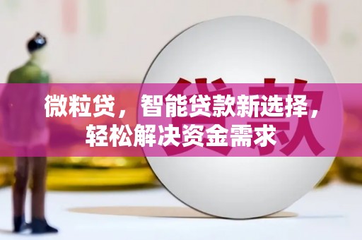 普宁微粒贷，智能贷款新选择，轻松解决资金需求