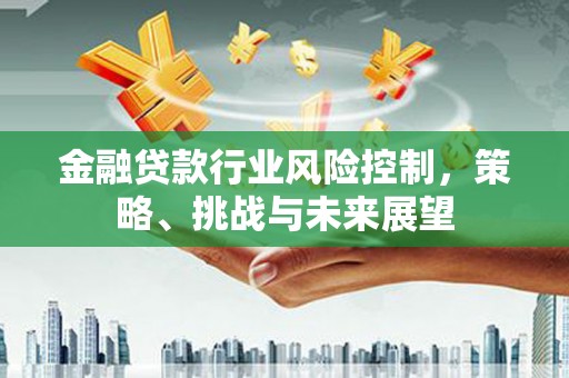 玉树金融贷款行业风险控制，策略、挑战与未来展望