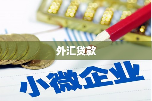 通道外汇贷款