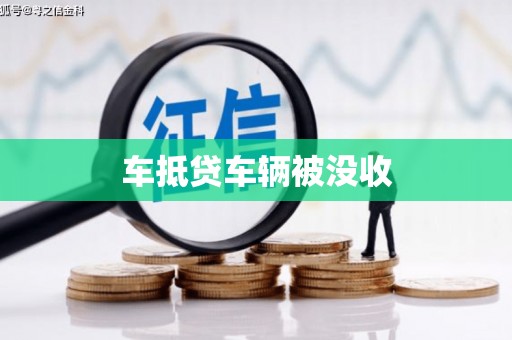 普定车抵贷车辆被没收