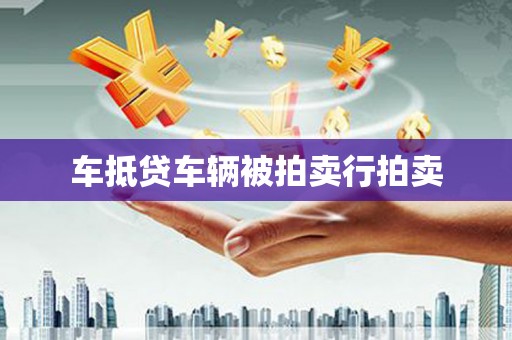 宜兰车抵贷车辆被拍卖行拍卖