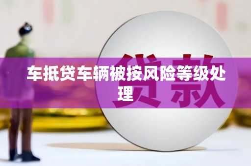 巨鹿车抵贷车辆被按风险等级处理