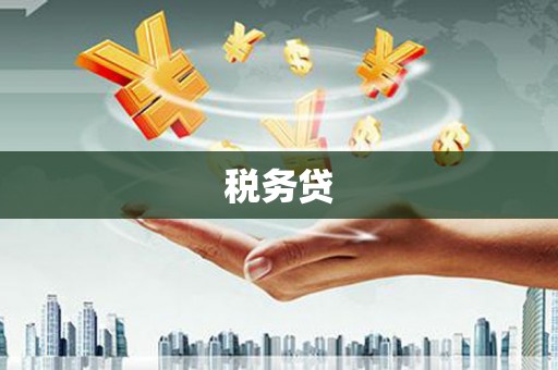 海陵税务贷
